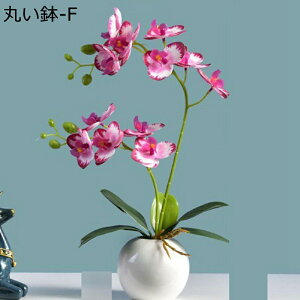  ͂Ȃ ~j Ӓ o x_[ ԃCeA ϗtA  A { ԕrt lH Q쏜sv  _ k ItBX 蕨 K[f