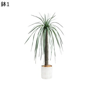 tFCNO[ A  hZi lHt ^ lHϗtA { ͂ȂO[ ϗtA lHA ϗt ȒPb炸  LO  Mtg