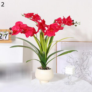 ԃZbg Ӓ ͂Ȃ ԃCeA ϗtA  ԑA { ԕrt lH lHA ͂ȂO[ k A[g u 蕨 ʐ^Be ̓ 