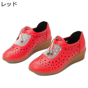 bVT_ EFbWq[ fB[X pvX EGbW\[  wl VjA N N NbV _炩 U[T_ wlC 傫TCY JWA