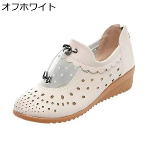 bVT_ EFbWq[ fB[X pvX EGbW\[  wl VjA N N NbV _炩 U[T_ wlC 傫TCY JWA