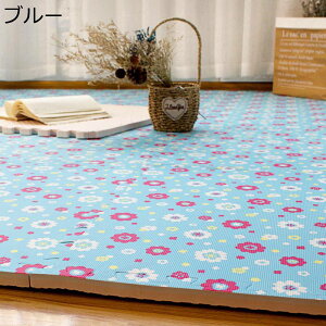 ^CJ[ybg pY}bg J[ybg^C WCg}bg ok h  L  h~ z[fR[V 10g 60*60*1cm 10 EVA Зp L~