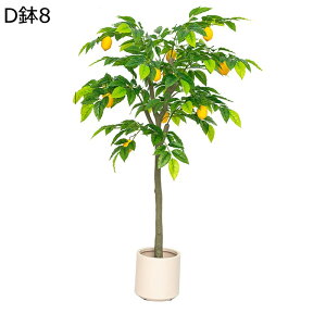 lHϗtA A ʕ   A { CeAO[ ͂ȂO[ tFCNO[ ^ Q쏜sv lHA ϗt ϗtA K[f  