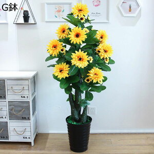 ԃO[ tFCNO[  Ύ O Ђ܂ A lHϗtA CeAO[ lHt { ϗtA ͂Ȃ bsv /O 