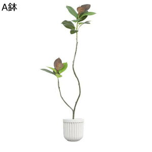 フェイクグリーン ガジュマル 人工葉っぱ リアル 人工観葉植物 大型緑葉 インテリアグリーン 本物そっくり 観葉植物 観葉樹 人工植物装飾 枯れない 水やり不要 ガーデン 装飾 宴会 飾り用