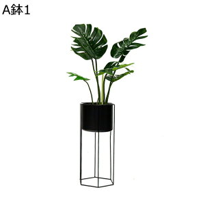 tFCNO[ lHϗtA Xe̗t lHt CeAO[ A { ^Ηt lHA ϗt ϗtA ȒPb炸 k ins rO[ 