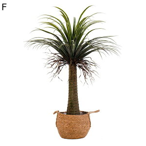  tFCNO[ Mъϗt CeAO[ ^Ηt A lHϗtA { lHA ϗt lHt ȒPb炸 ͂Ȃ /O