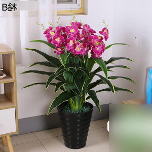 tFCNO[ Ӓ A ԃO[ ԃCeA Ηt lHϗtA { lHA lHt sv Q쏜sv FBɑ A ̓Mtg u 