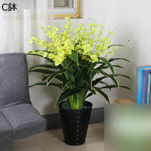 tFCNO[ Ӓ A ԃO[ ԃCeA Ηt lHϗtA { lHA lHt sv Q쏜sv FBɑ A ̓Mtg u 