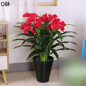 tFCNO[ Ӓ A ԃO[ ԃCeA Ηt lHϗtA { lHA lHt sv Q쏜sv FBɑ A ̓Mtg u 