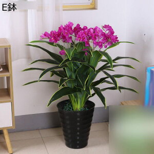 tFCNO[ Ӓ A ԃO[ ԃCeA Ηt lHϗtA { lHA lHt sv Q쏜sv FBɑ A ̓Mtg u 