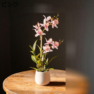 ԃCeA A XK ͂Ȃ  ϗtA 픫 A { sv  _ ֏ u^ k Be p z[ 뉀 Lb` ItBX