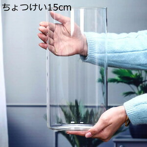KX ԕr kG  ֑} L  t[x[X ~ Ɏq bNX Vv CeA ͔| 傫 _ a15cm t@bV A 15cm  蕨 N