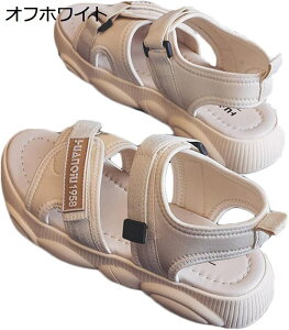 X|[cT_ fB[X  T}[T_ _炩 }WbNe[v ɂ  r JWA ʋC y T_ p 芴 tbg hL AEghA t 