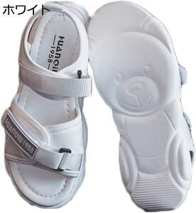 X|[cT_ fB[X  T}[T_ _炩 }WbNe[v ɂ  r JWA ʋC y T_ p 芴 tbg hL AEghA t 