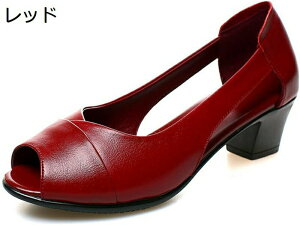 pvX  fB[X I[vgD T_ 傫TCY ߃q[ 3cm Ȃ wlC JWA LC r tbgV[Y Zp[g tH[} o y ubN