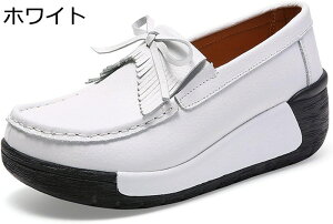 [t@[ V[Y fB[X JWA ₷ JV pvX Xb| wlC 傫TCY TCY 芴 ɂȂ  _ t  H A fC[ It