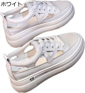 fB[X X|[cT_ Cq[ T_ JWA V[X[ ɂ IV _炩 NbV tBbg ؍ Xj[J[ Ȃ ~ LC 