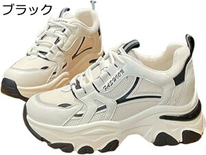  Xj[J[ JWAV[Y fB[X [Jbg 5cmUP Ռz bV [XAbv RtH[g E֗ L  i WA ʋ d o tďH