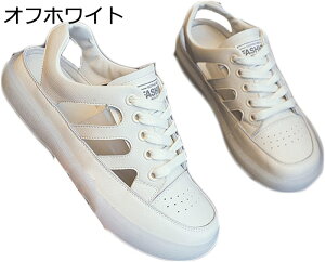 fB[X Xj[J[T_ V[X[ V[Y tbg Xgbv 傫TCY 22.5-26.0cm t@bV JWA n  _炩 ؂ RtH[g ~ ɂ 