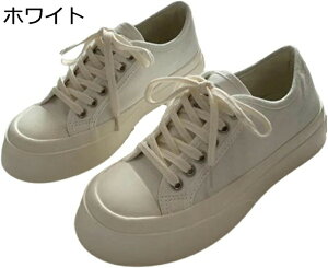  Xj[J[ LpX [XAbv L r fB[X y  ɂȂ ₷ vbgtH[ ʋ ʊw  i p tH~ s [Jbg F g4cmUP