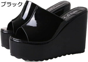 EFbWT_ ~[ OoXbp Gi I[vgD fB[X t T{ r[`T_ O t@bV JWA Lo Ղ  12cmgAbv