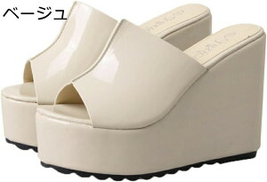 EFbWT_ ~[ OoXbp Gi I[vgD fB[X t T{ r[`T_ O t@bV JWA Lo Ղ  12cmgAbv