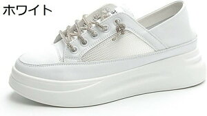  Xj[J[ Ƃ fB[X [Jbg bV g6cmUP NbV  \tg ւNN E₷ L  i ʋ ʊw o t n