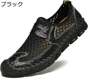 JV?Xb|?t?bV?T_ hCrOV[Y?X|T ČC JWAV[Y?X|[c?ˊO ʋC h ^?^] 傫TCY O?ʋΒʊw?ItBX