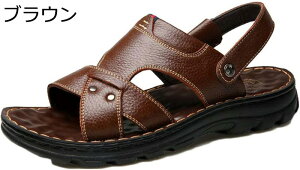 T_ YT_ JWAT_  ɂ ₷ ʋC Ռz  jT_ JWA t EH[LO ʊw ʋ  X|[cT_