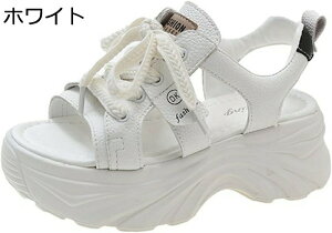 X|[cT_   _bhXj[J[ fB[X [Jbg [XAbv I[vgD  +5cmg vbgtH[ h T_ Ȃ ʋΒʊw Xj[J[