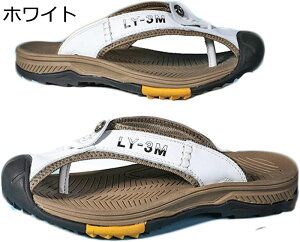 r[`T_ {v gOT_ j ][g tbg Y ܐی U[ r[T NVbN U[ JWA ɂȂ ₷ 傫TCY h y C ėp 