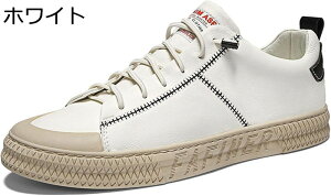 XP[g{[hV[Y Y vC U[ Xj[J[ Xb| t ʋC EH[LO [Jbg Ђt ₷ amC EH[LO JWA LoX ubN  