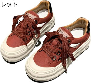 LpX   X|[cT_ fB[X q[̍4cm [XAbv g S v  ϊ T}[Xj[J[ JWAXj[J[ ʋΒʊw  Oo