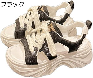 X|[cT_   Xj[J[ fB[X [XAbv I[vgD D^  +5cmg [Jbg h vbgtH[ ʋΒʊw EH[LOV[Y IV