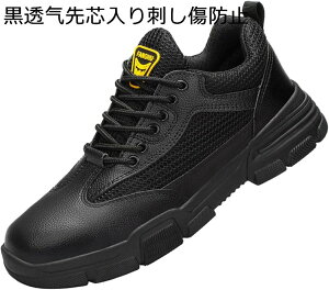 SC [XAbv Z[teB[V[Y fB[X Y bV ƌC ʋC h ܂肽 c hh~ [Jbg   nڍ y ₷ ~ E