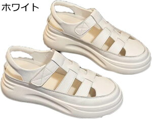 OJT_ }WbNe[v  X|[cT_ vbgtH[ ܐ悠 4cmgAbv t fB[X ꂳ񂾂 ҂ݍ Xgbv EhgD pvX n ₷