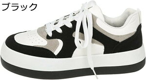  Xj[J[ g4cmUP JWAV[Y fB[X [Jbg [XAbv g ϖՐ ʋC EȒP Ȑ L  i JWA ʋ dʊw tH