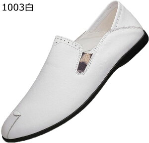 [t@[ Xb|V[Y Y JV vC jp ~ ؍  EȒP K Ȃ ʋC y ₷ rWlX JWA hCrOV[Y 