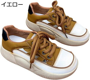   Xj[J[ v fB[X [XAbv [Jbg   S r ʋC 3.5cm \tg ~ ʋΒʊw X|[cT_ JWAV[Y IV