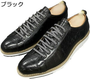 JWAV[Y vC Y rWlX Xj[J[ NR^ {v U[ hCrOV[Y _ ₷  ʋC ~ h hL y E₷ AE N[