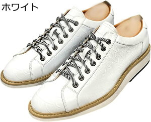 JWAV[Y vC Y rWlX Xj[J[ NR^ {v U[ hCrOV[Y _ ₷  ʋC ~ h hL y E₷ AE N[