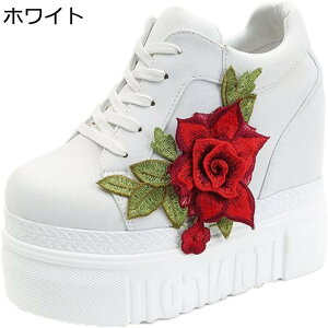 Cq[ Xj[J[ KNhJ fB[X vbgtH[ C [XAbvV[Y JWA t@bV  YbNC  NbV y ʋ 12cmgAbv