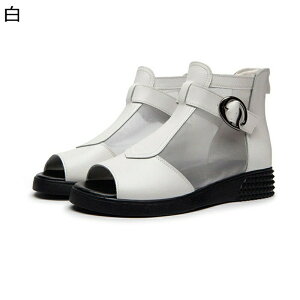 U[ T_ {v OfBG[^[ fB[X bV V[gu[c ZC 傫TCY I[vgD WbvAbv bXgbv [}   ʋC  ip