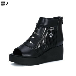 T_u[c fB[X bV  CXg[ _C t  V[gu[c I[vgD EFbWq[ Wbp[ ZC JWAu[c ~  