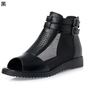 V[gu[c U[ bV T_u[c fB[X [} {v bXgbv t@Xi[ I[vgD t JWA Vv GKg ɂ   y 