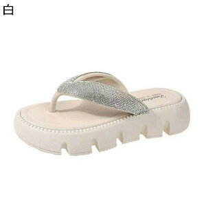 gOT_ XpR[  r[T r[`T_ OoXbp T{ fB[X JWA t@bV ČC 킢 r gAbv h ֗ Vv ₷ ɂ