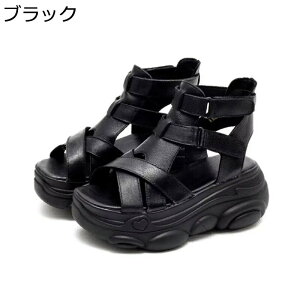 OfBG[^[ T_ 7cm  fB[X obNWbv I[vgD [} PUU[   T}[u[c V[gu[c ~ ϋv ϖՐ Sn AEghA