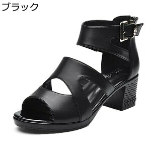 Xj[J[T_ T_ fB[X I[vgD V[gu[c T_u[c  tďH obNWbv T}[u[c PU [} h ~ 5cmq[ o