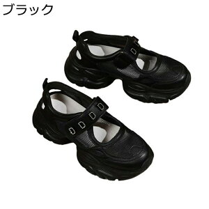 Xj[J[T_ bV fB[X X|[cT_ N[YgD t@Xi[ tďH gO ϖՐ ʋC h RtH[g E֗ ʋ ʊw  NbV 5cmq[